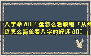 八字命 💮 盘怎么看教程「从命盘怎么简单看八字的好坏 🐠 」